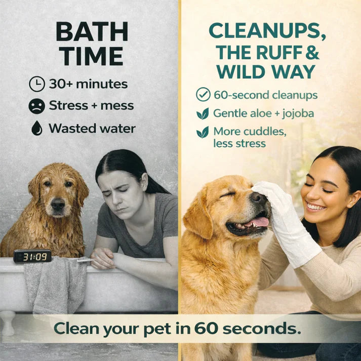 Hypoallergenic Pet Cleaning Glove Wipes (Pack of 6)